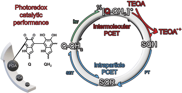 Graphical abstract: Visible-light photoredox catalysis of polydopamine with triethanolamine in water