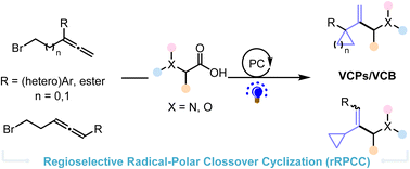 Graphical abstract: Photoredox-catalyzed cyclopropanation of allenes towards vinyl-cyclopropanes