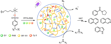 Graphical abstract: A biomimetic supramolecular platform enables sequential four-step energy transfer and reactive oxygen species modulation for selective photocatalytic oxidations