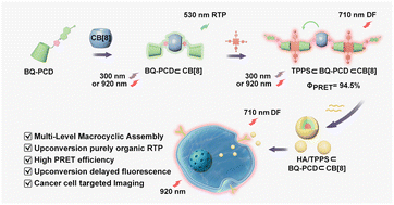 Graphical abstract: Multi-level macrocyclic assembly achieving organic upconversion delayed fluorescence for targeted cell imaging