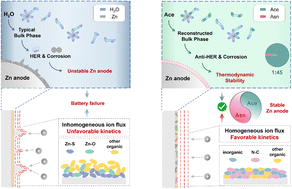 Graphical abstract: Concentration-function coupled electrolytes harmonize thermodynamics and kinetics for stable zinc metal batteries