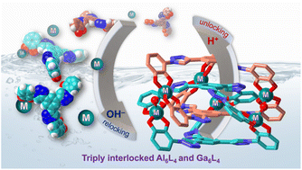 Graphical abstract: Cooperative reversible assembly in triply interlocked Al6L4 and Ga6L4 cages