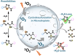 Graphical abstract: Chemoselective cyclodesulfurization vs. dehydration enabled by aqueous microdroplet chemistry