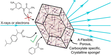 Graphical abstract: A flexible copper MOF as a carboxylate-specific crystalline sponge for structure solution using X-ray and electron diffraction