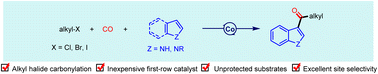 Graphical abstract: Cobalt-catalyzed direct carbonylative 3-acylation of (N–H)Indoles with alkyl halides