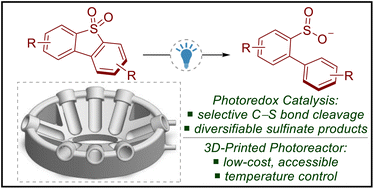 Graphical abstract: Photoredox catalysed reductive cleavage of dibenzothiophene dioxides enabled by a temperature-controlled photoreactor