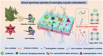 Graphical abstract: Broad-spectrum rejection of emerging organic contaminants with different structures and properties from complex water matrices by a chlorine-resistant Janus nanofiltration membrane