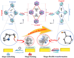 Graphical abstract: Organic cation conformational flexibility governs mechanical response in organic–inorganic hybrid materials