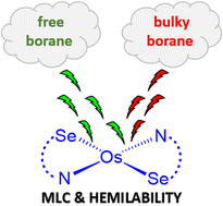 Graphical abstract: Cooperative borane activation by tuning hemilability of different Os-κ2-N,Se-chelated complexes