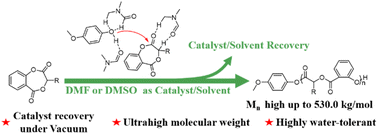 Graphical abstract: DMF/DMSO-catalyzed selective ring-opening polymerization of salicylate cyclic esters