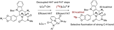 Graphical abstract: Distinct hydrogen atom transfer and radical capture reactivity of copper(iii) OH/F complexes enables site-selective C(sp3)–H 18F-fluorination