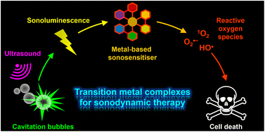 Graphical abstract: Ultrasound-activatable transition metal complexes to potentiate sonodynamic therapy