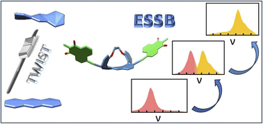 Graphical abstract: Exciton trapping with a twist