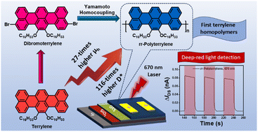 Graphical abstract: Polyterrylenes: synthesis and regioregularity effect on p-type charge transport and deep-red light photodetection in OFETs