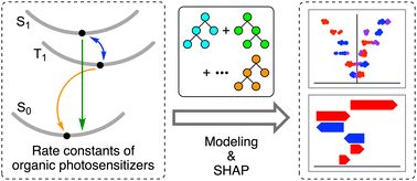 Graphical abstract: Data-driven approach to elucidate the correlation between photocatalytic activity and rate constants from excited states