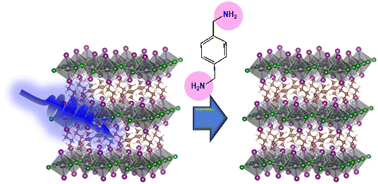 Graphical abstract: Design principles of spacer cations for suppressing phase segregation in 2D halide perovskites