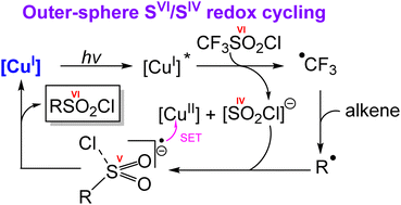 Graphical abstract: Uncovering outer-sphere mechanisms governing chemoselectivity in copper-photocatalyzed ATRA reactions of CF3SO2Cl with alkenes