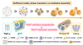 Graphical abstract: Biomineralization-mimicking cooperative assembly for tailoring anisotropic hierarchically porous metal–organic frameworks