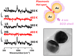 Graphical abstract: Plasmonically enhanced Fe(ii) coordination complexes allow SERS readout of spin state switching below the optical diffraction limit