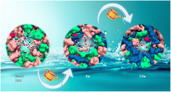 Graphical abstract: Water drives sequential breakdown of dynamic nanodomains in deep eutectic electrolytes