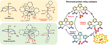 Graphical abstract: Elucidating the reversed proton relay mechanism: dual regulatory role of pendant carboxylates relevant to water oxidation