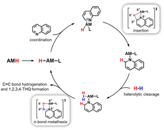 Graphical abstract: Simple s-block metal hydrides for selective hydrogenation of quinoline compounds