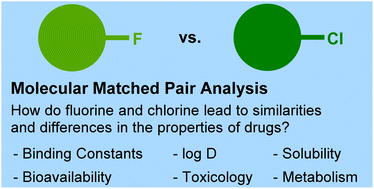 Graphical abstract: Which halogen to choose? Comparing the effects of chlorine and fluorine as bioisosteric substituents in drug design