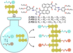 Graphical abstract: Intramolecular transamidation enables one-pot synthesis of three chiral, Z-shaped perilenediimides for null-type supramolecular polymer formation