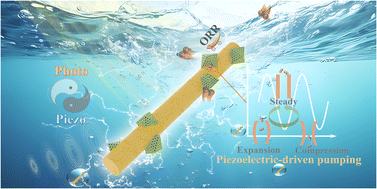 Graphical abstract: Accelerated confined mass transfer in piezoelectric semiconducting metal–organic frameworks for H2O2 piezo-photosynthesis