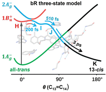 Graphical abstract: Reply to the ‘Comment on “Mapping photoisomerization dynamics on a three-state model potential energy surface in bacteriorhodopsin using femtosecond stimulated Raman spectroscopy”’ by I. Schapiro, M. Olivucci, K. Heyne and S. Haacke, Chem. Sci., 2025, 16, DOI: 10.1039/D5SC05038C