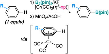 Graphical abstract: Transient π-coordination enables nucleophilic borylation of simple arenes