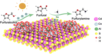 Graphical abstract: Interface reconstruction strategy enabling the efficient light-driven amination of furfuryl alcohol