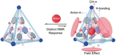 Graphical abstract: Neutral anion-detecting organic cages based on anion–π interactions