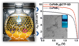 Graphical abstract: Water-mediated kinetic engineering of CTF QDs for emerging solar cells