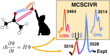Graphical abstract: Nuclear quantum effects and vibrational resonances in organic hydrates: theoretical and experimental insights from DMSO monohydrate