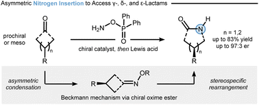 Graphical abstract: Synthesis of chiral lactams by asymmetric nitrogen insertion
