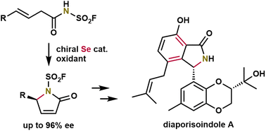 Graphical abstract: Se-catalyzed enantioselective lactamization enabled by a N-fluorosulfonyl group: total synthesis of diaporisoindole A