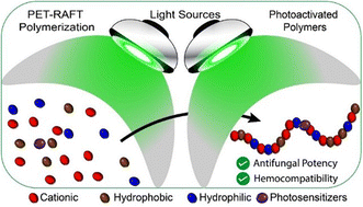 Graphical abstract: Photoactivated antifungal polymers prepared by PET-RAFT polymerization