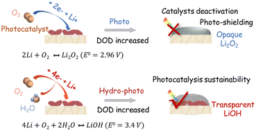Graphical abstract: Hydro-photo-synergy unlocks deep and reversible chemistry of solid-state lithium–oxygen batteries