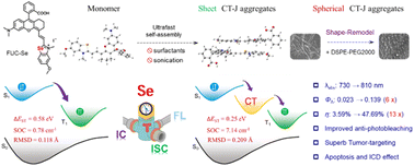Graphical abstract: Zero-trigger ultrafast charge-transfer J-aggregates via Se/π-directed assembly enable synchronous ROS/heat amplification for NIR-II photoimmunotherapy