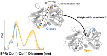 Graphical abstract: Large-scale protein conformational transitions revealed by weighted ensemble simulations and EPR