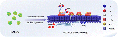 Graphical abstract: Atomic-scale redox-potential-mediated engineering of 0D/2D Cu–Cu2O/MOx(OH)y heterojunctions for efficient nitrate electroreduction to ammonia