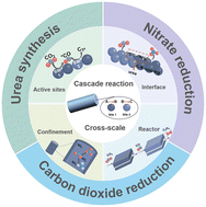 Graphical abstract: Cross-scale understanding of cascade electrocatalysis for carbon and nitrogen utilization