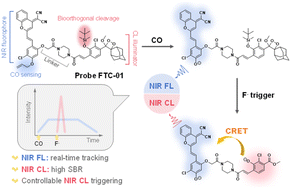 Graphical abstract: Dual-locked strategy for fluorescence/chemiluminescence dual-modal imaging reprogramming