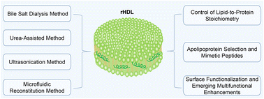 Graphical abstract: Artificial recombinant high-density protein nanocarriers for precision drug delivery