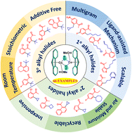 Graphical abstract: Ligand assisted Co(ii) catalyzed direct C–H alkylation of aryl ketones with diverse alkyl halides