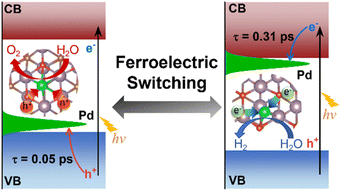 Graphical abstract: Polarization-induced reversible electron–hole migration and redox reaction switching in ferroelectric single-atom photocatalysts