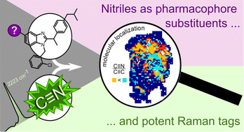 Graphical abstract: Unveiling the molecular dynamics of a nitrile-containing 5-lipoxygenase-activating protein antagonist in primary macrophages through Raman spectroscopy
