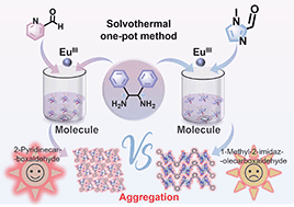 Graphical abstract: Improving the conjugation of organic ligands enhances the antenna effect and promotes the luminescence and optical imaging of chiral mononuclear Eu(iii) complexes