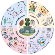 Graphical abstract: Mechanistic insights and catalyst design for the selective hydrogenolysis of cellulose to C2–C3 alcohols